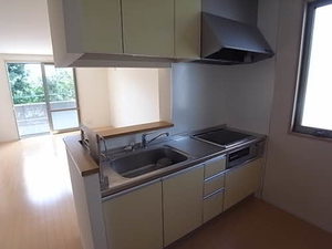 ファミール桜 B202号-4