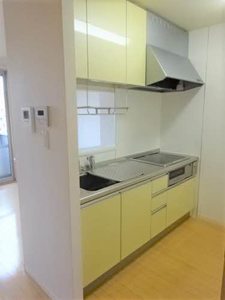 メゾン・すこやか 0202号-3