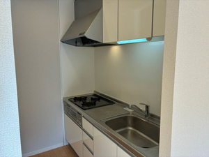 グリーンルーフ 0203号-3