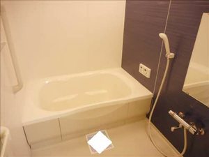 シャーメゾンパインハイツⅡ 0101号-11