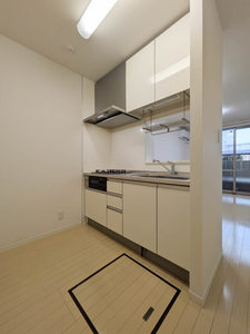 PINO 0103号-6