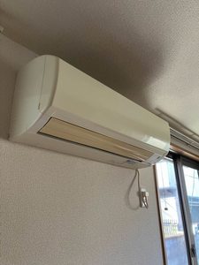 ＴＨＥ　ＢＲＩＧＨＴ　ＧＡＲＤＥＮ　嵐山 0103号-14