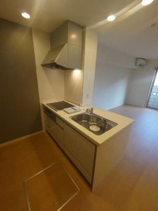 ベルデ中河原 0102号-11