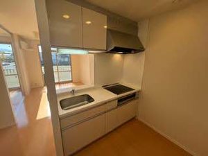 メゾン ドゥ ルポ 2203号-4