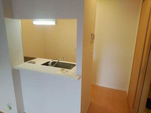 シャーメゾン グッドパディ 0203号-9