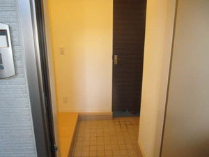 il sole Ⅰ,Ⅱ A102号-3