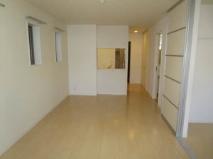 il sole Ⅰ,Ⅱ A102号-6