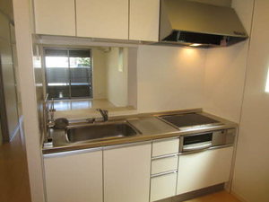 il sole Ⅰ,Ⅱ A102号-7