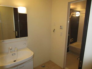 ｉｌ　ｓｏｌｅ　Ⅰ，Ⅱ B102号-11