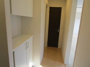 ｉｌ　ｓｏｌｅ　Ⅰ，Ⅱ B202号-3