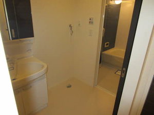 ｉｌ　ｓｏｌｅ　Ⅰ，Ⅱ B202号-9