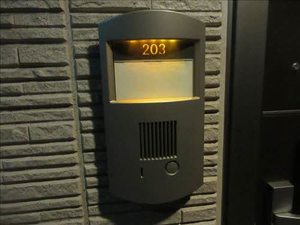 ヴィラ　大領 0203号-5