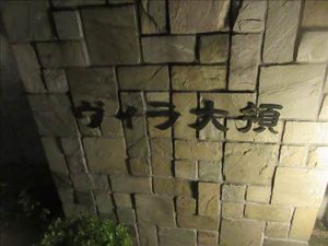 ヴィラ　大領 0203号-7