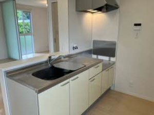 レジデンス保田Ⅱ 0205号-6