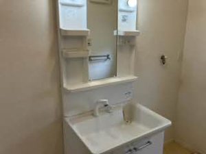 レジデンス保田Ⅱ 0205号-8