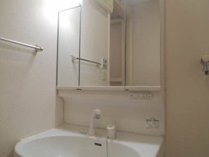 カーサ　エスペランサ 0202号-6