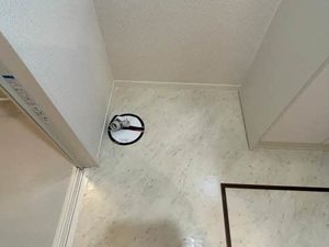 シャーメゾン　エイワ美章園 0102号-4