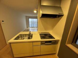 シャーメゾン　白扇 0102号-13