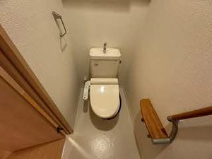 シャーメゾン　白扇 0102号-14