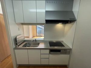 ラヴィーヌ 0201号-3