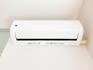 シーサイドビラⅤ 0103号-13