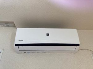 テラス新中通 0301号-8