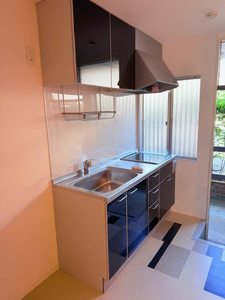 ホワイトハウス 0103号-4