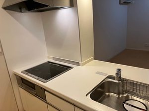 ラ・フルールⅡ 2103号-4