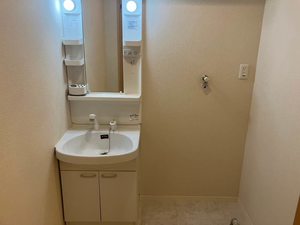 ラ・フルールⅡ 2103号-6