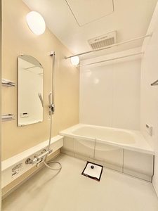 ヴィラーム　アウリンコ 0102号-8