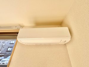 ヴィラーム　アウリンコ 0102号-11