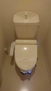 ハニー・コナ 0201号-11