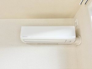 メゾン　パストラル 0103号-11