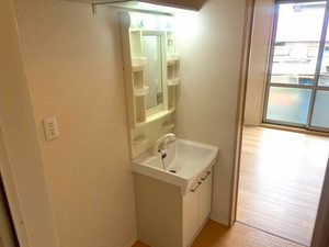 マイトリーハイム A101号-8