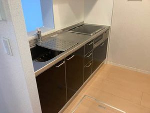 グリーンヒルズ 0101号-10