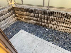 ＣＯＭＥＴＯⅢ　Ａ棟 0103号-11