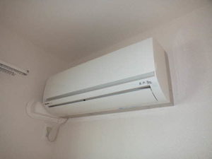 ソシア シャルマン 0101号-11