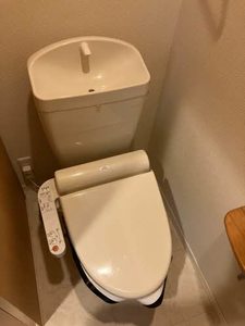 ソシア　シャルマン 0103号-13