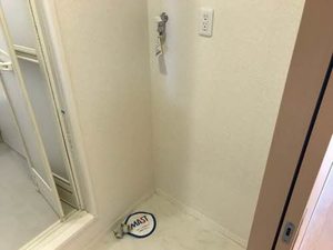 ソルジェンテ 0203号-15