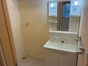 シャーメゾン黒江 0101号-8