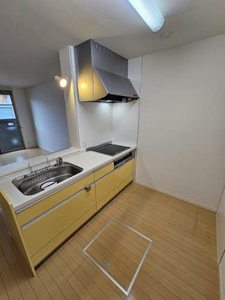 アンジュール　荒松 0103号-5