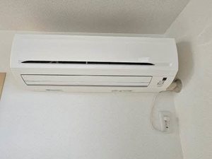 アンジュール　荒松 0103号-11