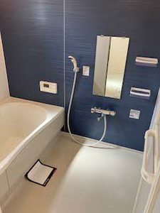 ラ・グレイス桜 0101号-5