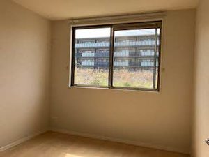 ラ・グレイス桜 0101号-12