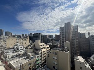 パラッツォロッサ 1002号-13