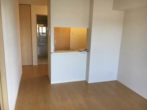 ファイン リーメス 0201号-5