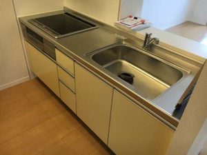 ファイン リーメス 0201号-13