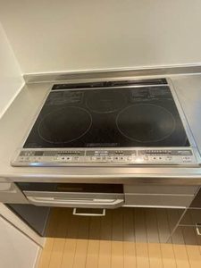 Ｓａｎｓ　Ｓｏｕｃｉ（サン　スーシ） 0201号-11