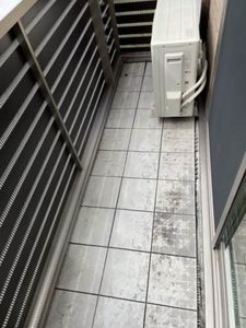 シャーメゾン　ラファール 0203号-3