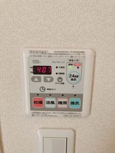 メゾン　ラフェリオ 0103号-12